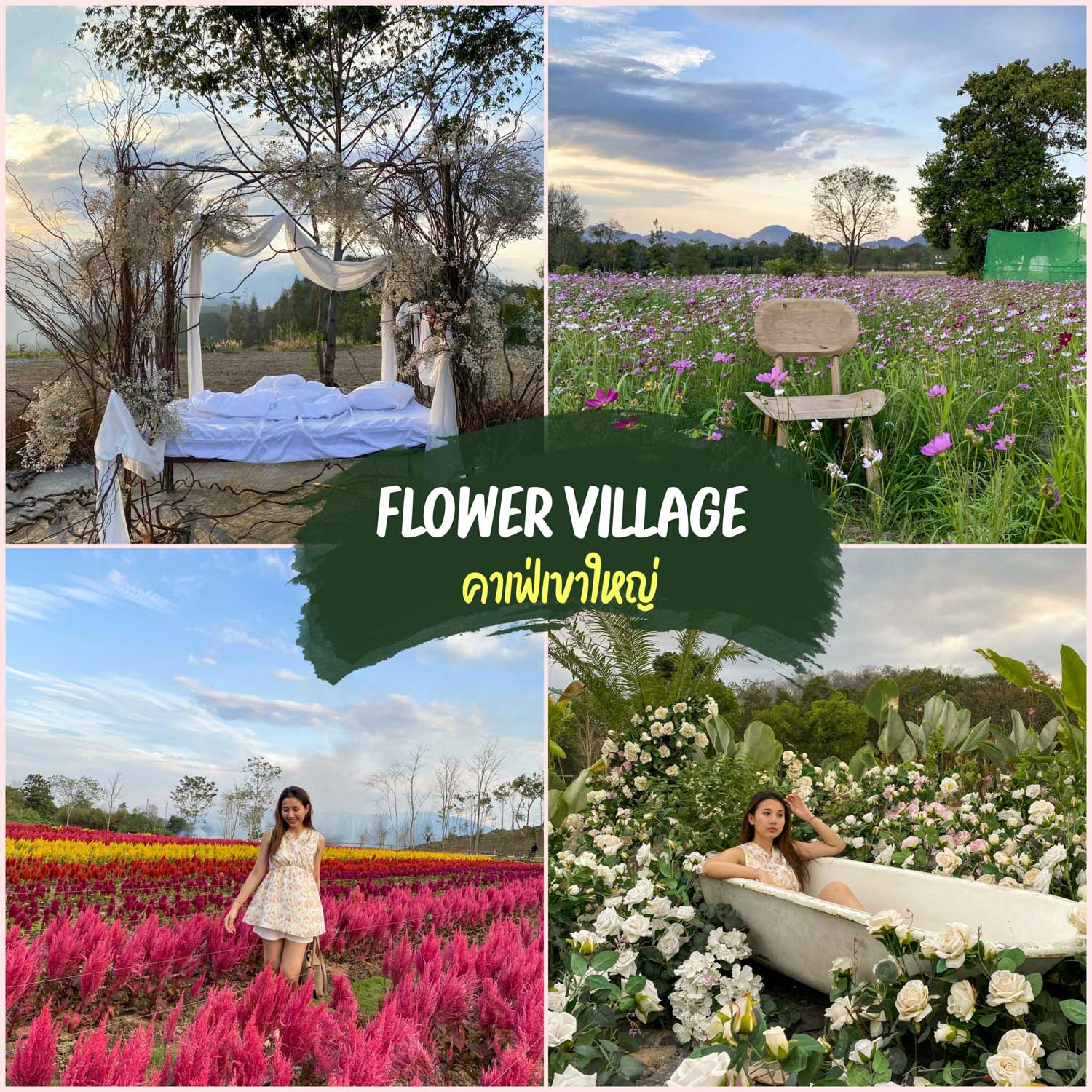 Flower village คาเฟ่เขาใหญ่ ที่เที่ยวเขาใหญ่ ที่นี่มีหลายโซนมากๆ ทั้งโซนดอกกุหลาบ ทุ่งดอกสร้อยไก่ ทุ่งดอกคอสมอส ทุ่งดอกดาวเรือง และอีกมากมาย