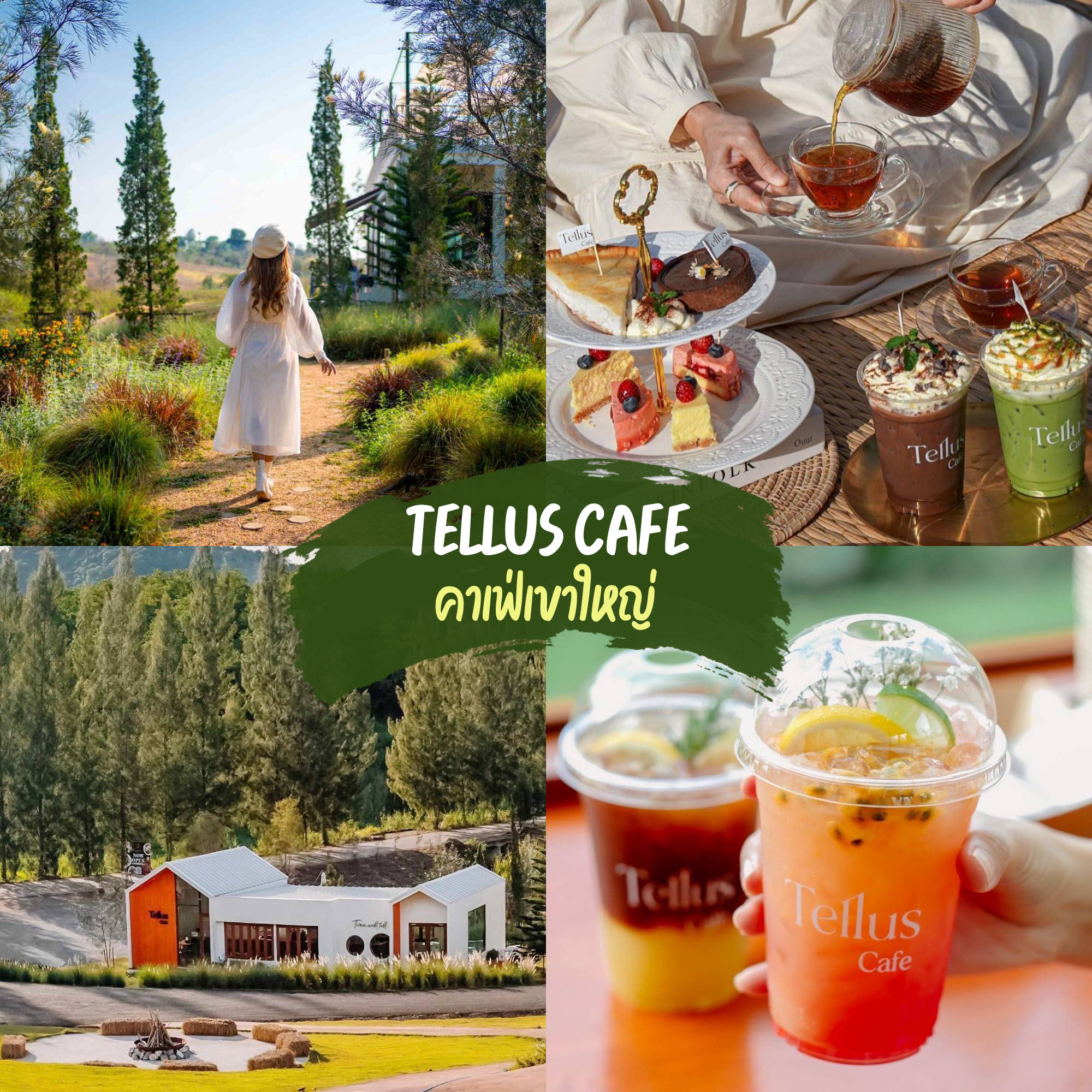 Tellus cafe คาเฟ่เขาใหญ่ คาเฟ่ท่ามกลางธรรมชาติ กลางหุบเขา และต้นสนสวยๆ ฟิล ตปท เหมือนไปยุโรป ตัวร้านถูกออกแบบสไตล์นอร์ดิก